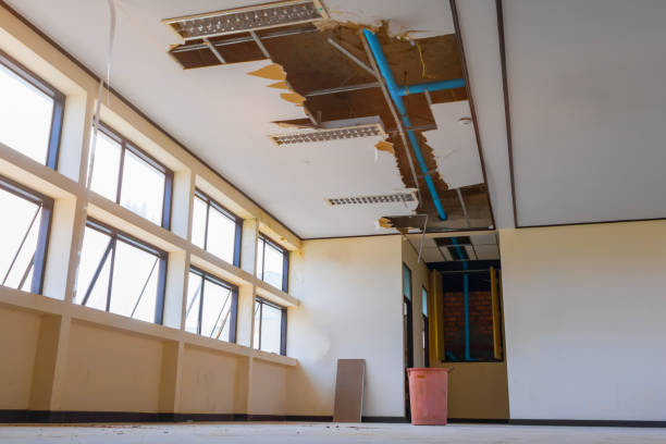 Best 24/7 water damage repair  in Omaha, NE