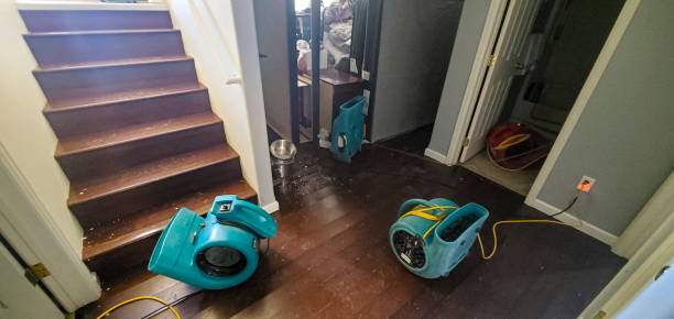 Best Water damage cleanup near me  in Omaha, NE
