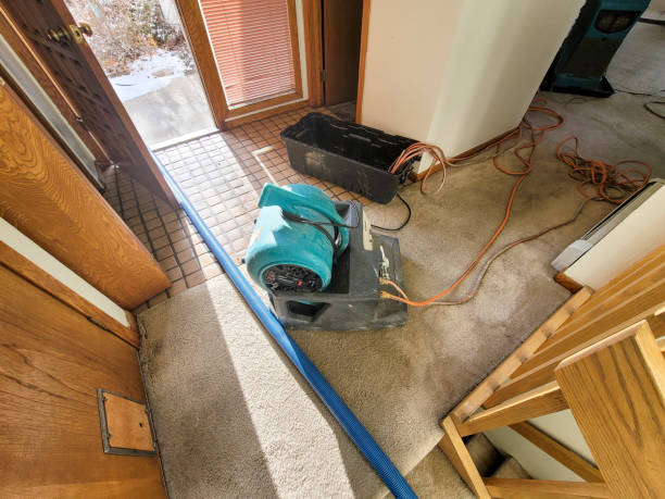 Best Mold removal after water damage  in Omaha, NE