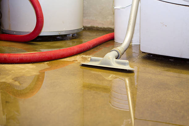Best Water damage restoration near me  in Omaha, NE