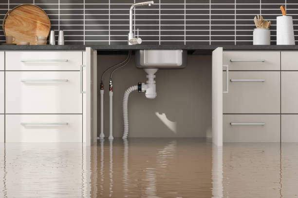 Best Carpet water damage restoration  in Omaha, NE