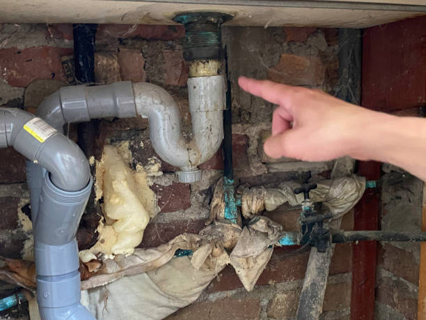 Best Water damage restoration specialists  in Omaha, NE